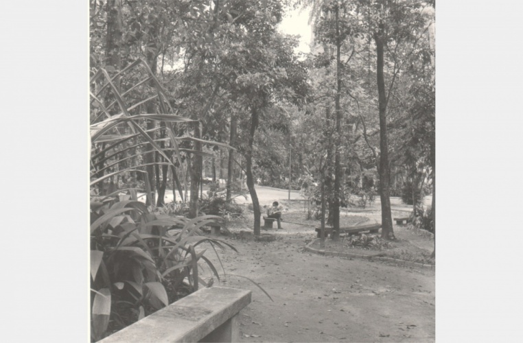 Bosque entre o antigo Ginásio Esportivo e o Edifício da Amizade, ainda com as trilhas com chão de terra. 1989. Fotógrafo Aníbal Mesquita. Acervo do Núcleo de Memória. Bosque entre o antigo Ginásio Esportivo e o Edifício da Amizade, ainda com as trilhas com chão de terra. 1989. Fotógrafo Aníbal Mesquita. Acervo do Núcleo de Memória.
